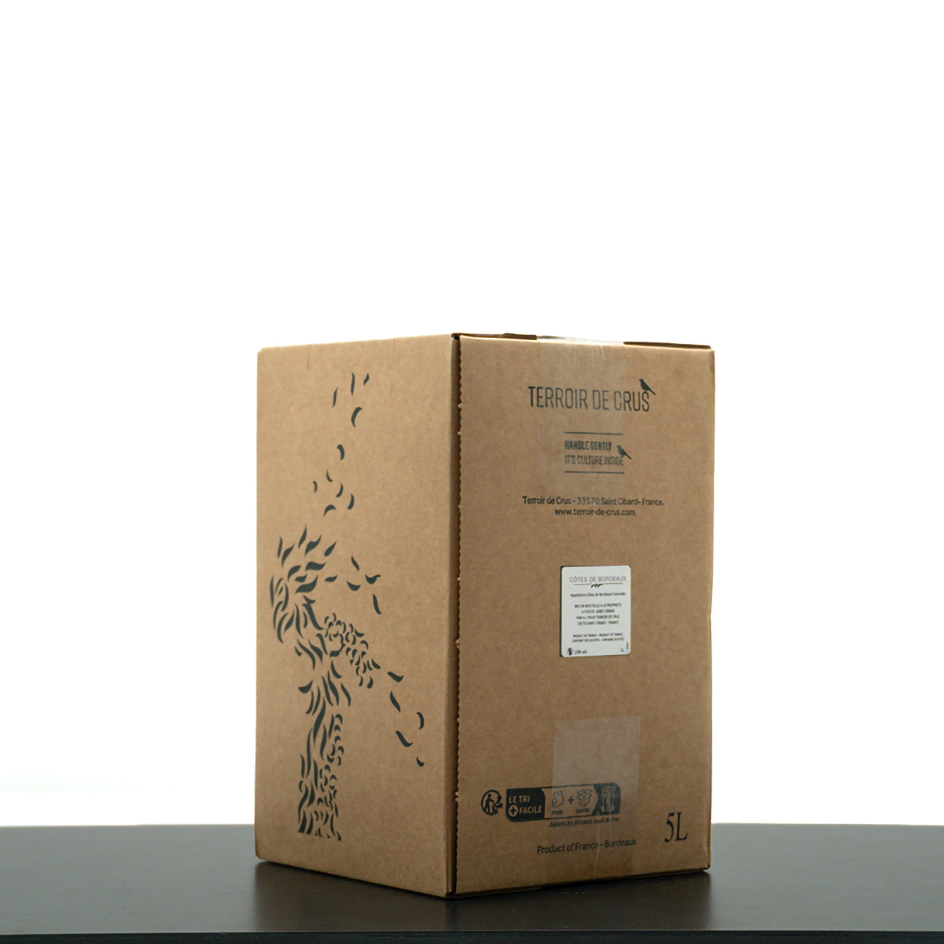 Côtes de Bordeaux Rouge Bag in Box - Château Clos Fontaine - 5,0l