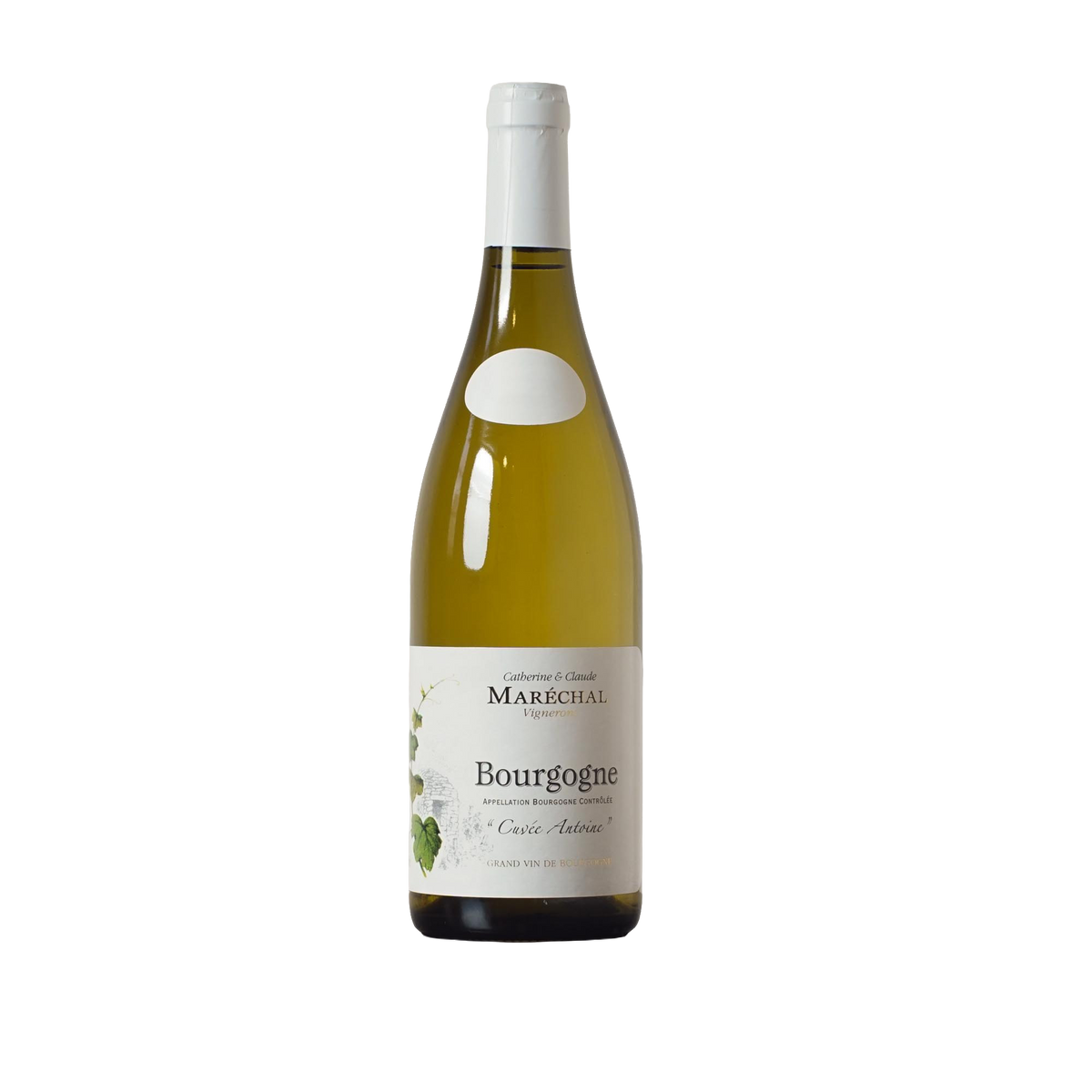 Cuvée Antoine Bourgogne blanc 2024 - Domaine C. et C. Maréchal - 0,75l