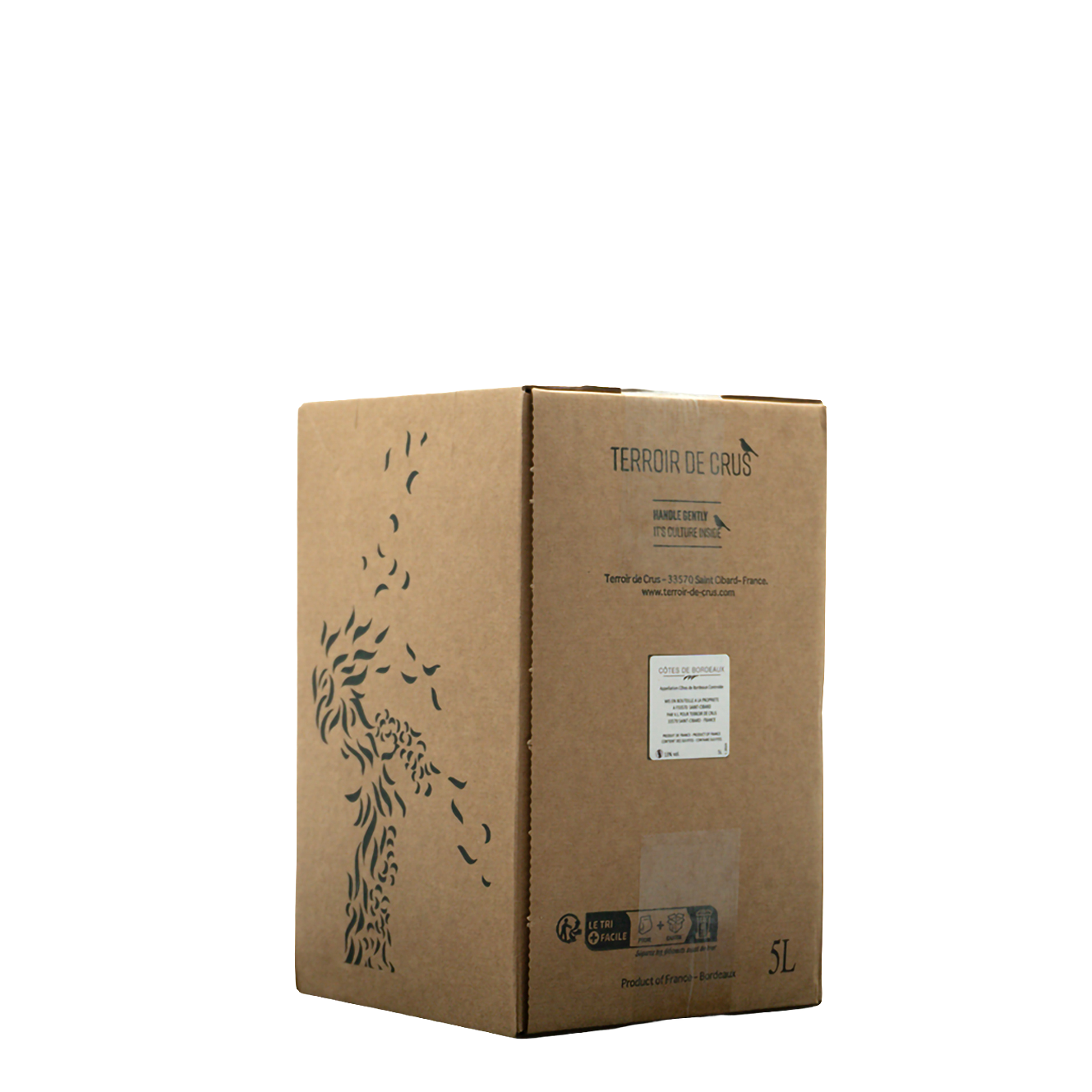 Côtes de Bordeaux Rouge Bag in Box - Château Clos Fontaine - 5,0l