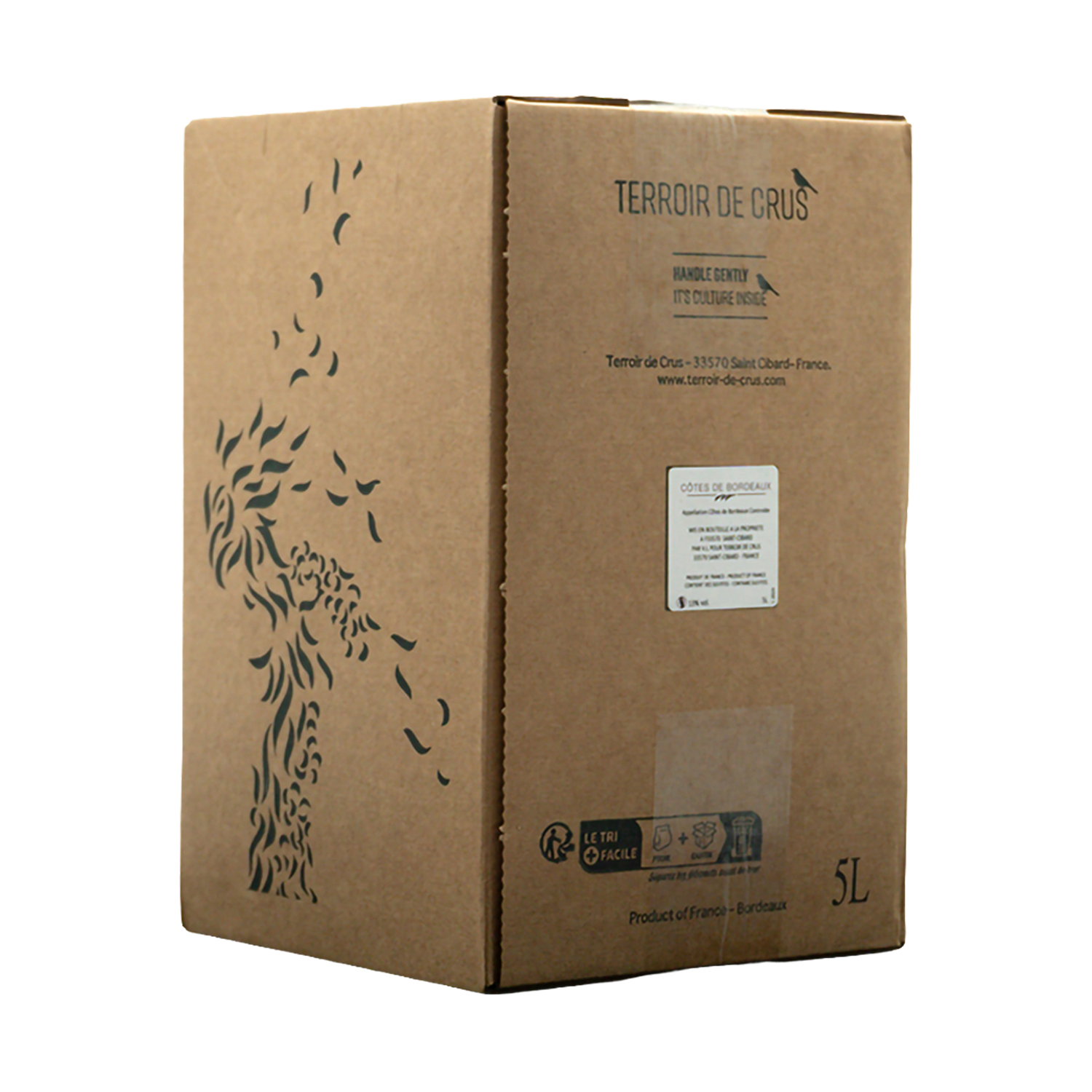 Côtes de Bordeaux Rouge Bag in Box - Château Clos Fontaine - 5,0l