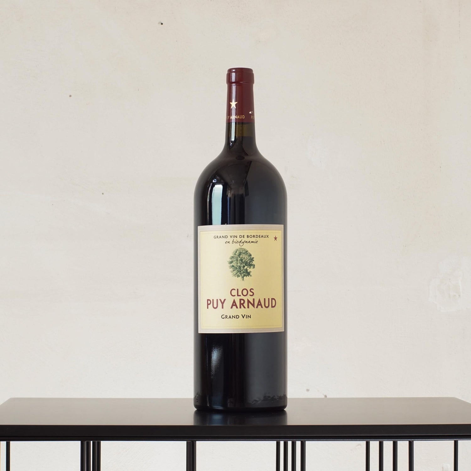 Castillon Côtes de Bordeaux MAGNUM 2019
