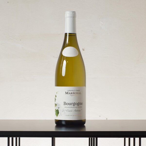 Cuvée Antoine Bourgogne blanc 2023